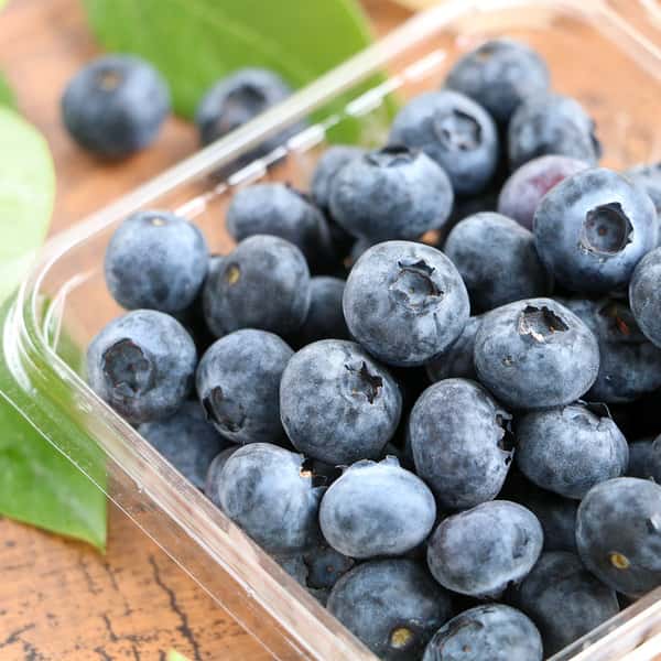 吉野の山のブルーベリー 無農薬栽培