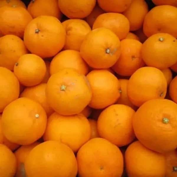 NEXT化テスト_価格レンジ表示