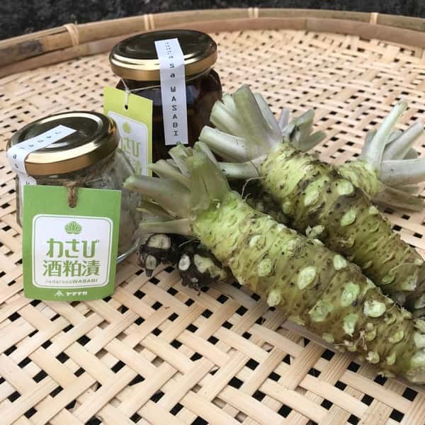伊豆WASABIセット 山葵・わさび酒粕漬・わさび茎酢漬