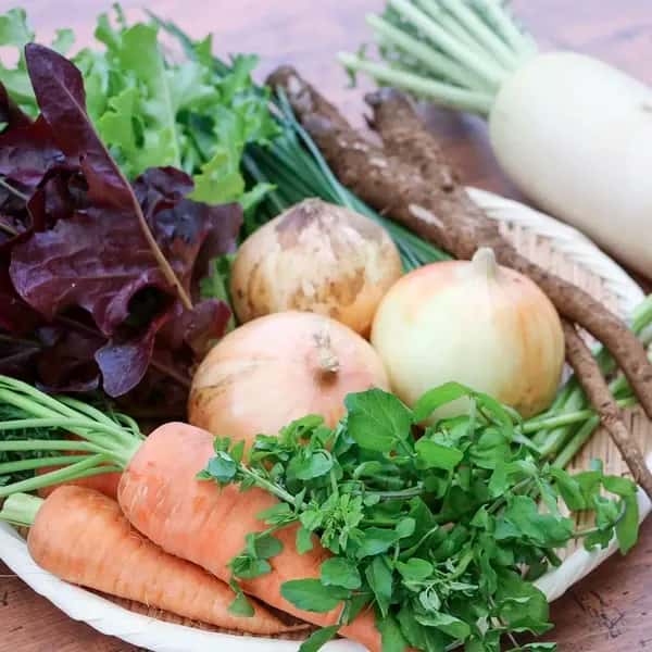 【定期購入】湘南産直!伝統野菜 詰め合わせセット